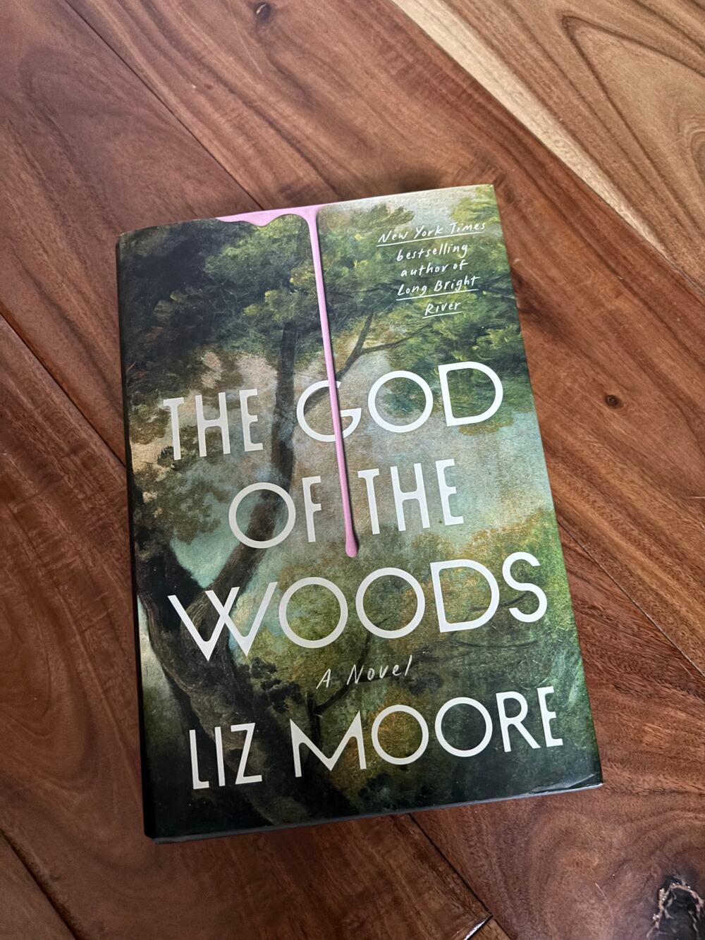 The God of the Woods by Liz Moore - Hardcover Novel